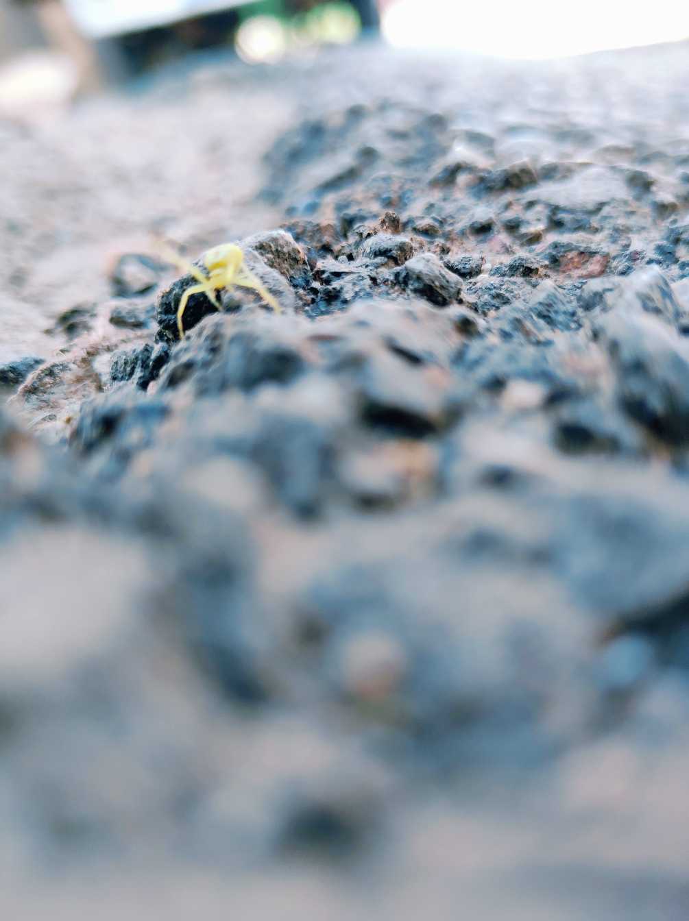 #型秀黑鲨#自己抢到开箱才是惊喜